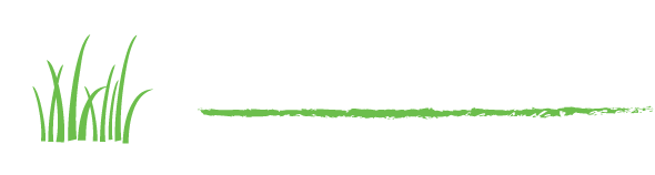 Stout Lawn & Pest